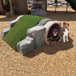 Two dogs sit at the entrance of a tunnel made of faux stone and turf in a playground area covered with wood chips. The dogs appear happy with their tongues out. Playground equipment is visible in the background.