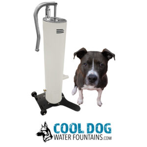 A black and white dog sits beside the Doggie Demand Fresh Flow Portable Water Fountain Spout & Pet Hose (SLV), ideal for any dog park. Below is the "COOL DOG WATER FOUNTAINS.com" logo with a dog head illustration.
