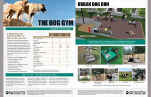 Flyer featuring information and images about "The Dog Gym" and "Urban Dog Run" dog park packages, with photos of dogs playing, agility equipment, and a park layout, alongside descriptions and package details.