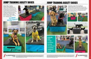 Two pages from a magazine display various dogs using jump training agility boxes in different poses. The layout includes photos of dogs on boxes, text about the product, and colorful graphics highlighting its features.