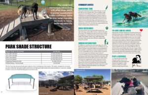 A collage showing dogs on elevated platforms, people and dogs surfing, a shaded park structure, groups enjoying a dog park, and a dog lying in the sun, with informational text about park equipment and dog-friendly activities.